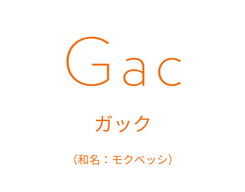 ガック｜ジースリー（g3）